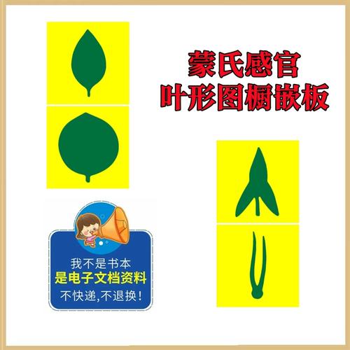 蒙氏感官【叶形图橱嵌板】蒙氏教具蒙氏教案蒙氏课程蒙氏作业纸