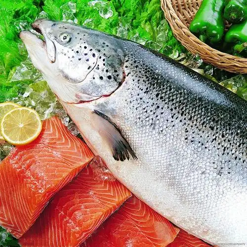 美国冰冻三文鱼进口报关代理服务