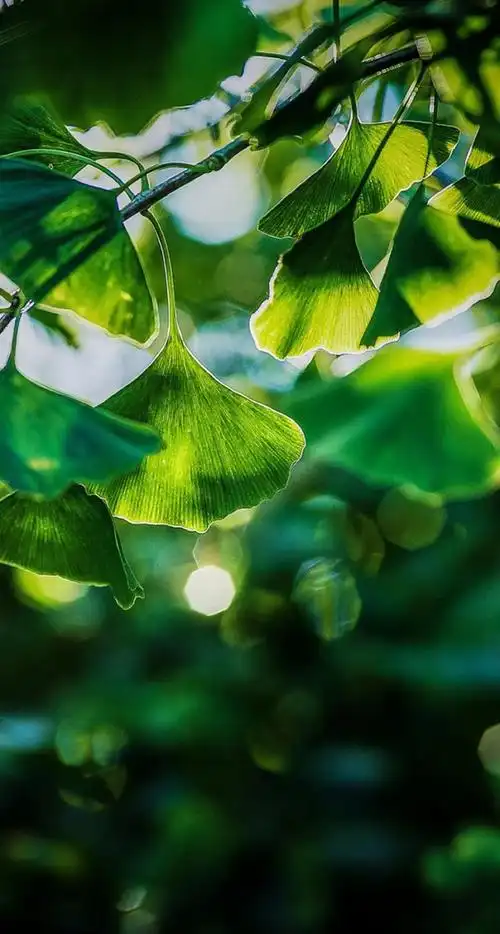 心情愉悦享受生活图片