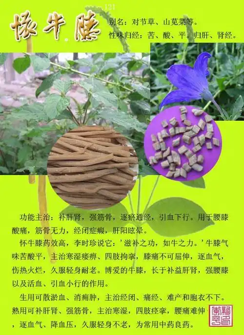 闲情雅趣.的美篇