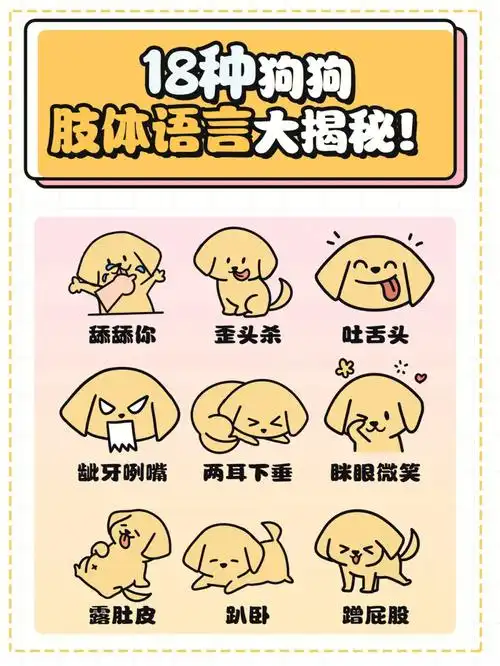 狗狗肢体语言大揭密