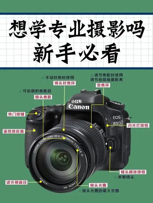 92单反相机应该怎么玩71佳能80d看就会