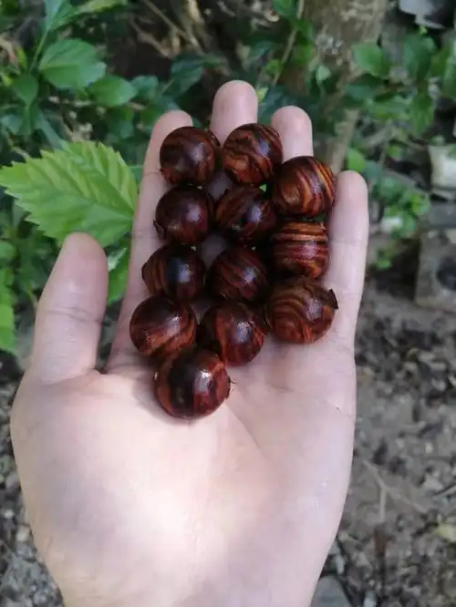 海南黄花梨20规格虎皮纹