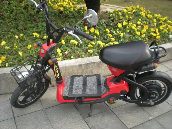 自用9成新捷安特133行程50公里以上