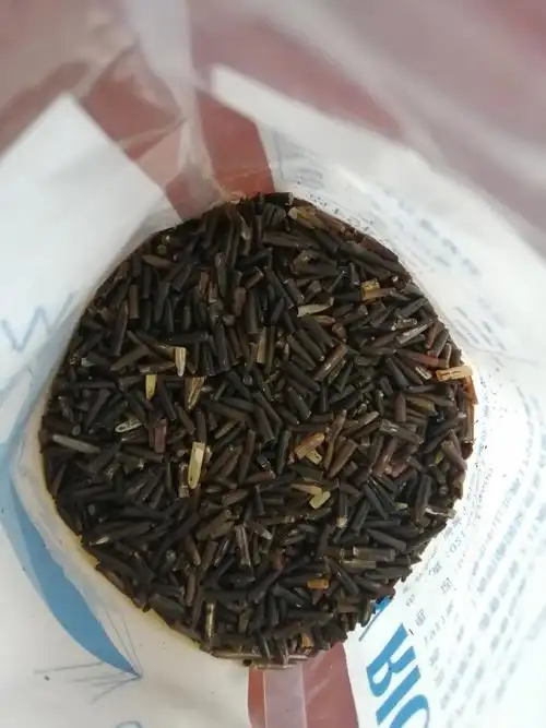 刚刚把菰米(茭白的种子)用电饭煲蒸了一下. 来自燕子sxsxsx - 微博