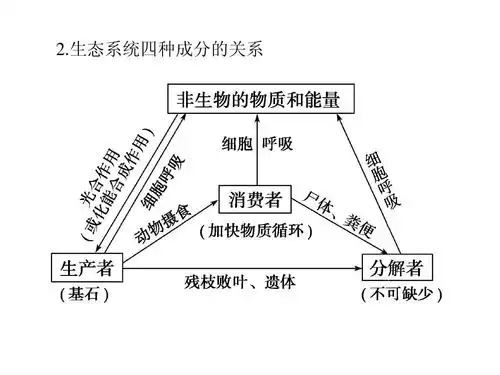 2015届《学海导航》高三生物一轮总复习配套课件:第30讲 生态系统及其