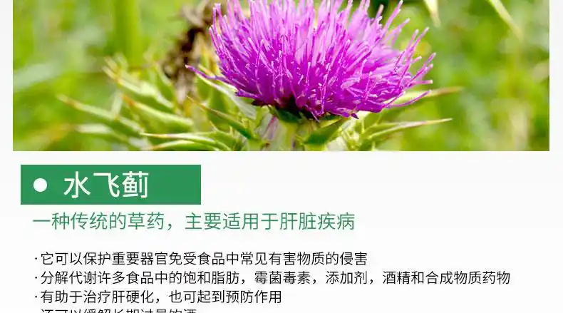 克拉斯特健肝锭水飞蓟素奶蓟草60粒/瓶6瓶周期装价格_评价_功效_说明