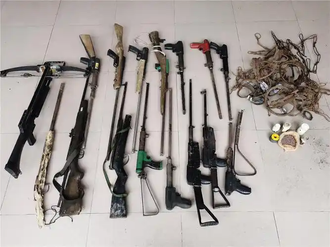 云南怒江:上帕边境派出所10天收缴民用枪18支,捕猎夹53个