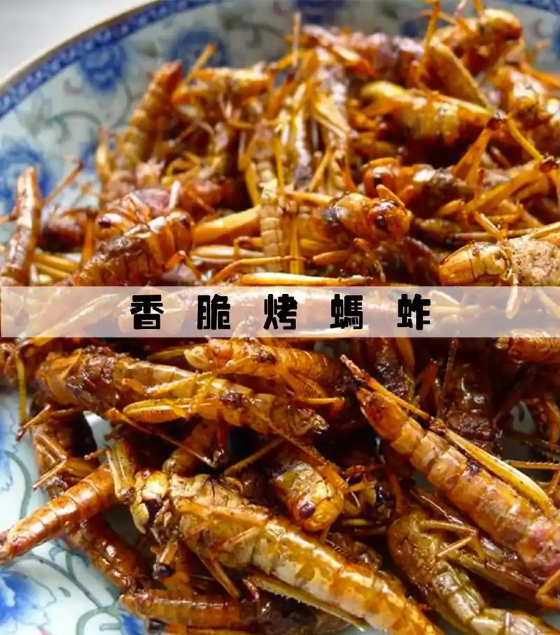 猎奇美食#油炸蚂蚱 这个#下酒菜 ,真香嘎嘣脆鸡肉味.#美食 - 抖音