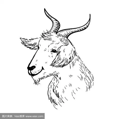 手绘矢量山羊头
