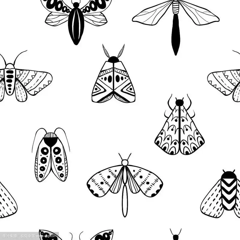手绘飞蛾无缝图案