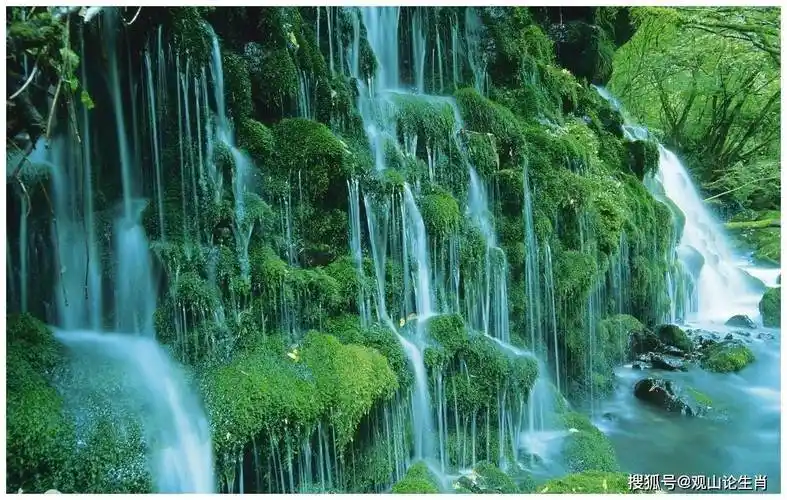 下个月有横财,有惊喜,有贵人,必能鸿福齐天,大富大贵的4生肖_属猪