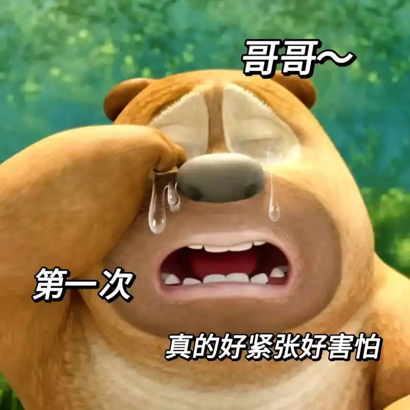 表情包 #万万没想到 #意想不到的结局 #打开熊出没的n种 - 抖音