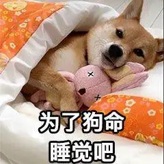 为了狗命睡觉吧(狗狗表情包)_狗命_狗狗表情