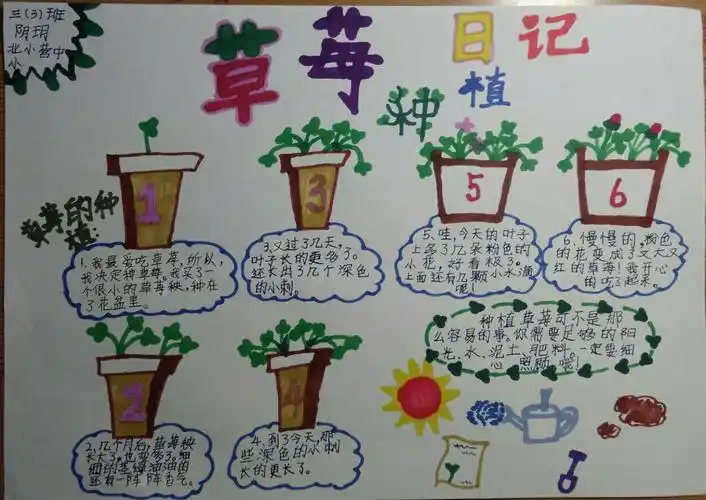 春天来了…… 三3班学生的植物生长记录