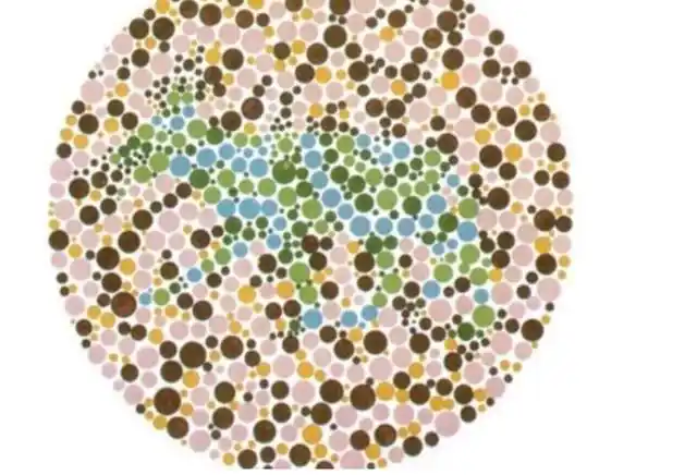 最新驾校色盲测试图,从易到难, 看得出图6的人终身与驾照无缘!