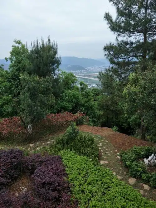 龙岩大锦山公园