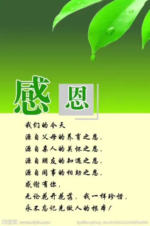 感恩的心,感谢有你