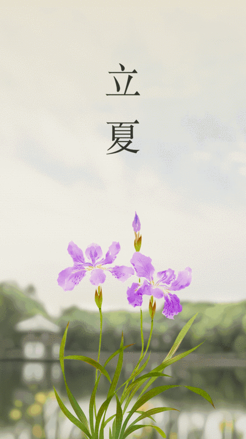 今日立夏 万物繁茂