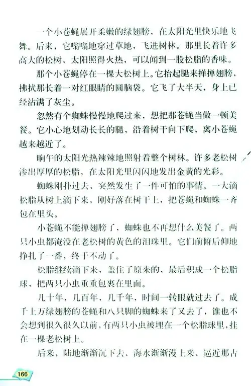 琥珀(2)课文_人教版六年级语文下册课本书_好学电子课本网