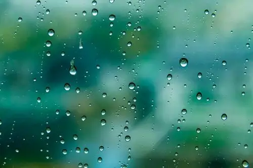 我喜爱这淅淅沥沥的小雨.