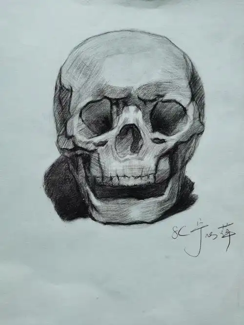 素描石膏头像--头骨练习(二)----高8班