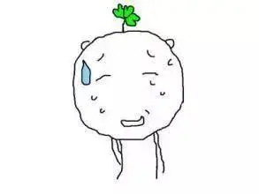 每到气温高,尤其是夏季三伏天的时候,皂皂不仅表层会出汗,还会变软,很