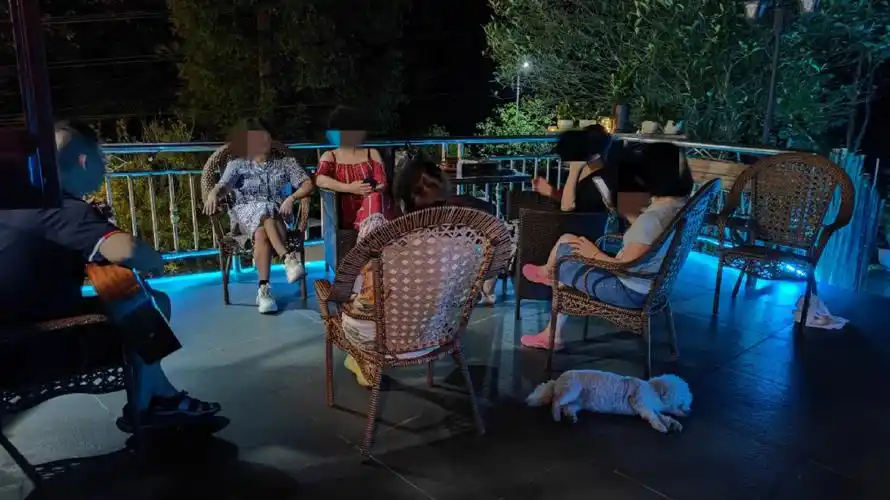 文艺的乘凉夏夜,听吉他合唱,观赏萤火虫