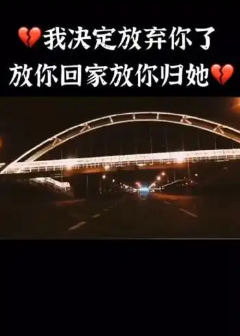 我决定我决定放弃你了.