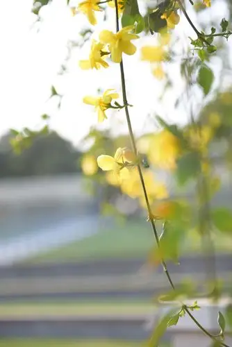 春天来了!拥抱春风 沐浴阳光!