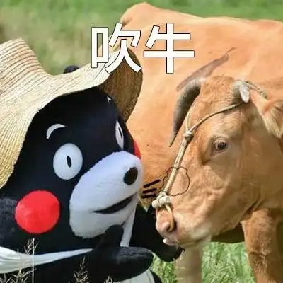 吹牛- 我男朋友是世界上最好的男人_熊本熊表情