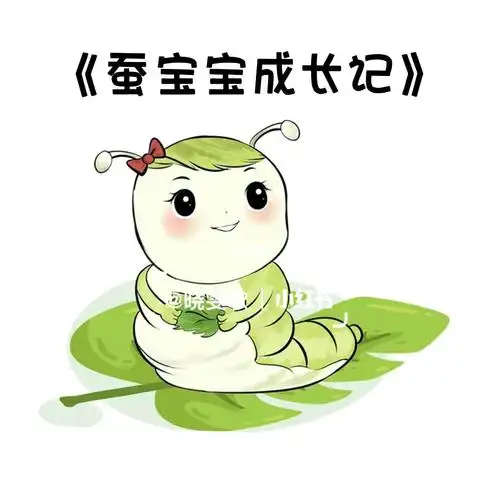蚕宝宝成长记