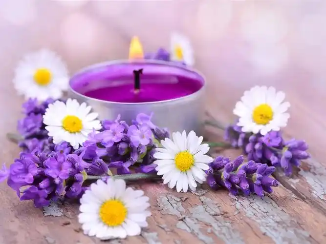 白色的雏菊花,薰衣草,蜡烛 壁纸