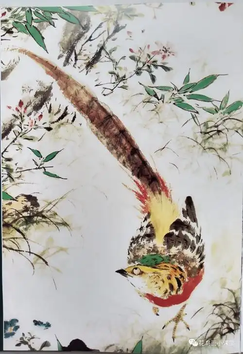 王雪涛画中的锦鸡与雉鸡,简直不要太漂亮!