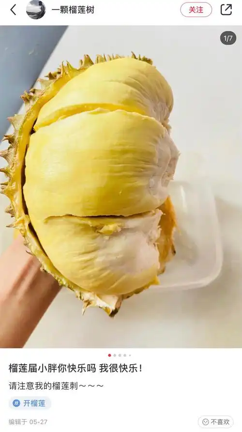 转发这个榴莲,你以后开的每个榴莲都有这么大