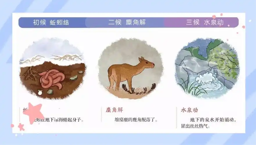 冬至三候 一候蚯蚓结;二候糜角解;三候水泉动.
