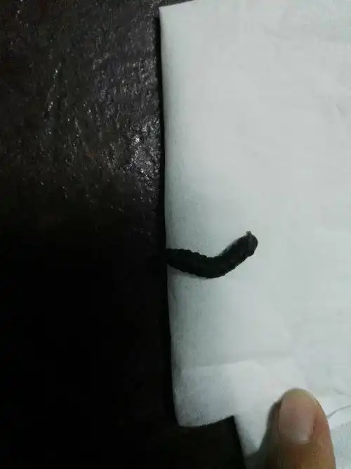 有没有哪位大神知道这是什么虫子,黑黑的,软软的,1.5cm左右,爬的还