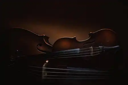 小提琴大提琴图片