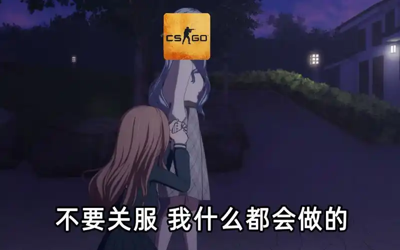 【mycsgo】挽留csgo失败而退游的长崎素世