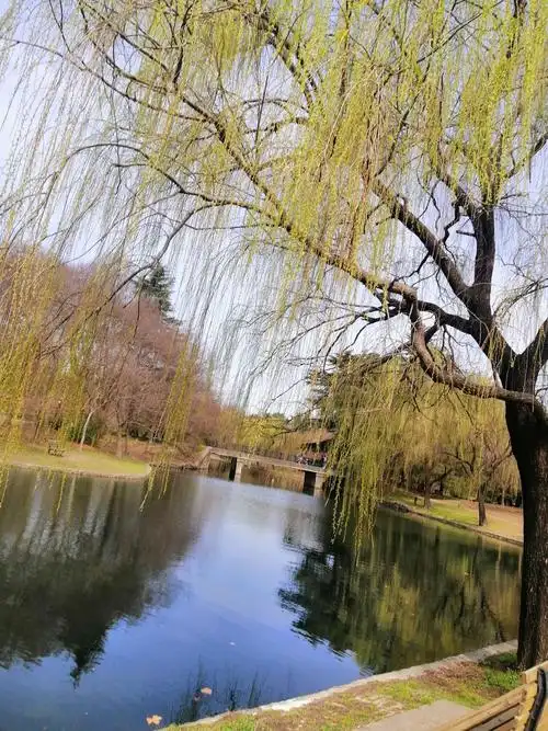 上海共青森林公园的初春 2021.02.23