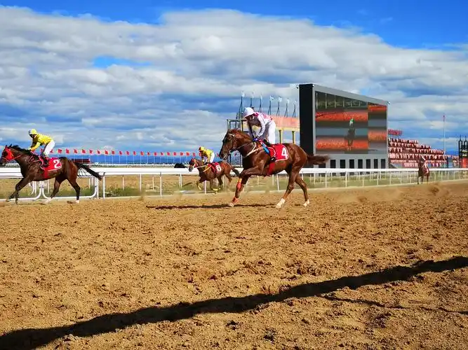 中国内蒙古马赛暨第六届内蒙古国际马术节隆重开赛