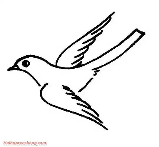 喜鹊简笔画 喜鹊简笔画简单又漂亮