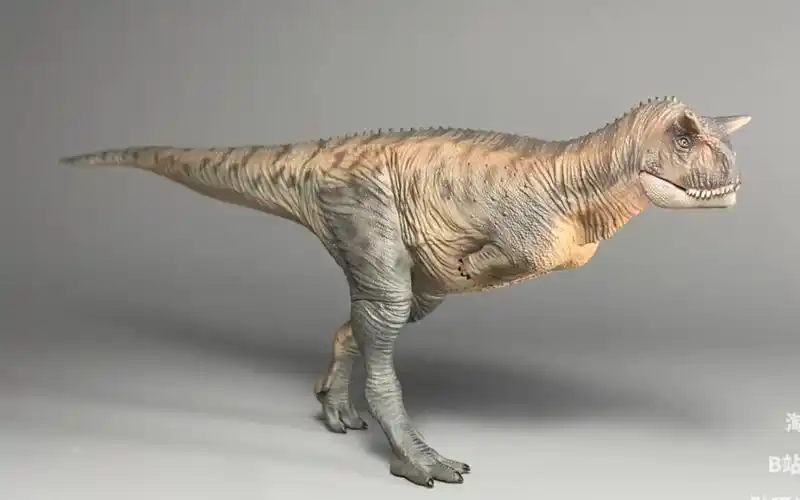 好龙谷 食肉牛龙