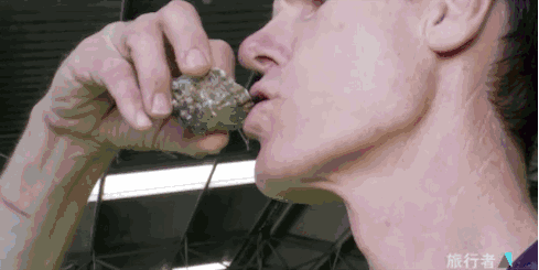 生蚝美味又营养,但食用风险也不小!吃货们快收好这份食蚝指南