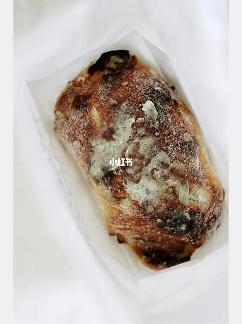 面包发霉了吗