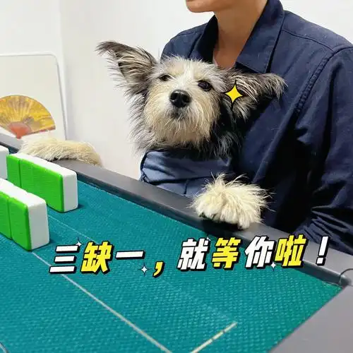 三缺一?lucky来凑!