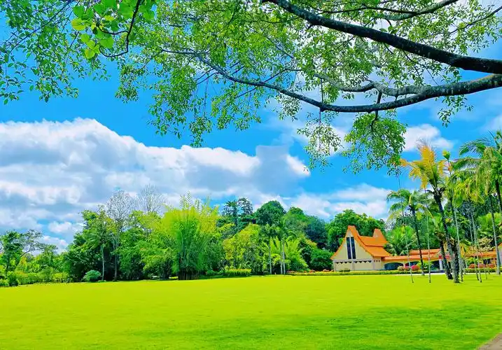 云南西双版纳森林公园