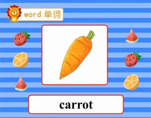 carrot  胡萝卜