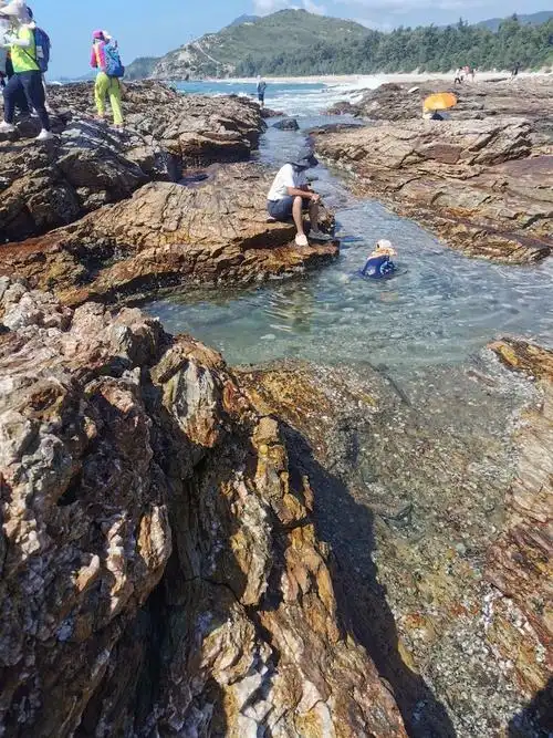 惠东黑排角醉美海岸线