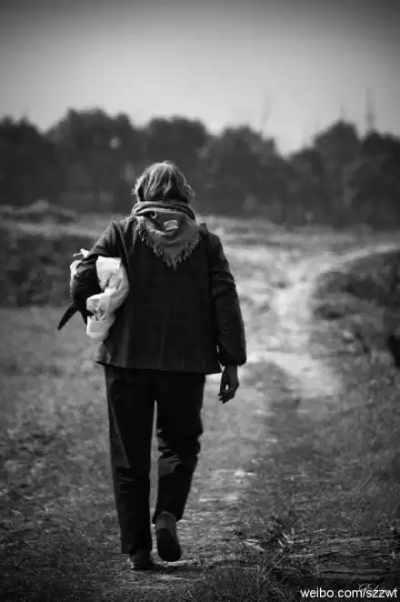 泪中忆母-青年作家网